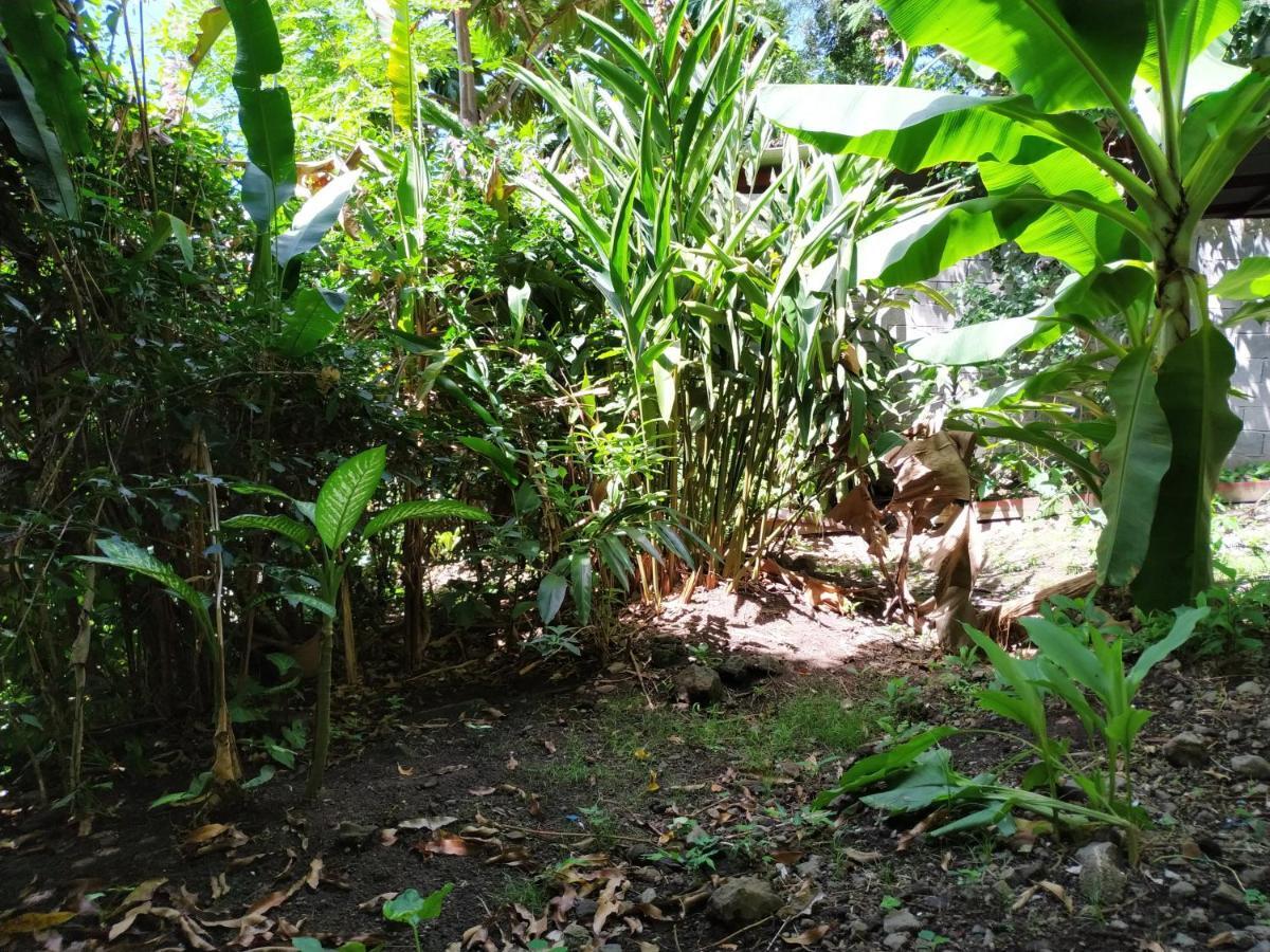 Koule Bo Kay Villa Le Carbet Exterior photo